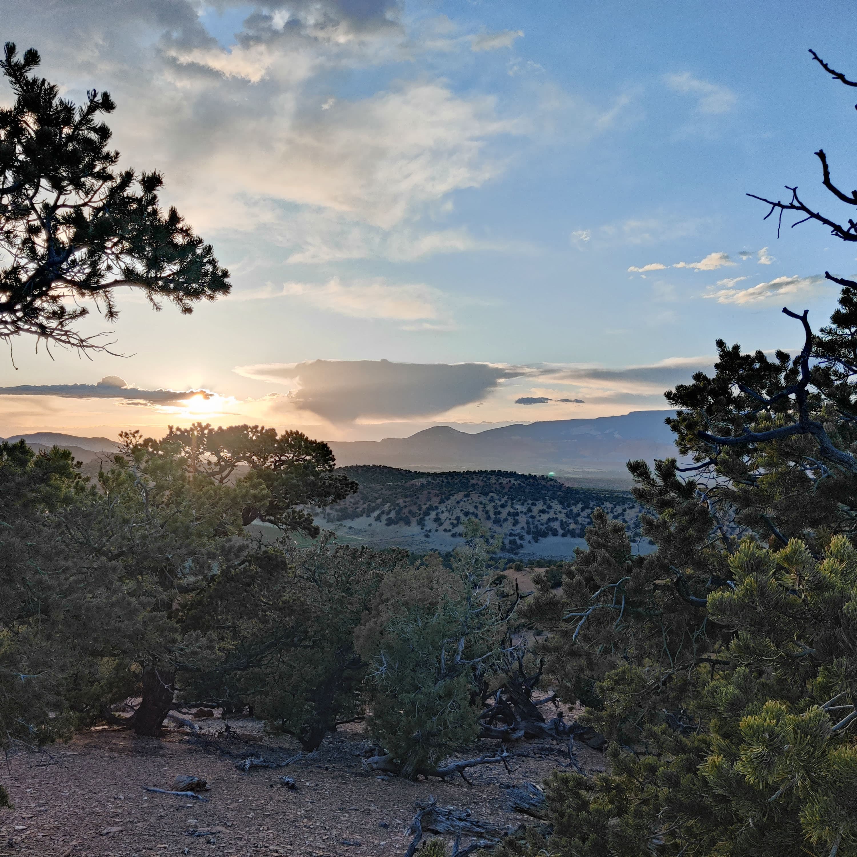 the sunset viewed from the top of a hill in the desert