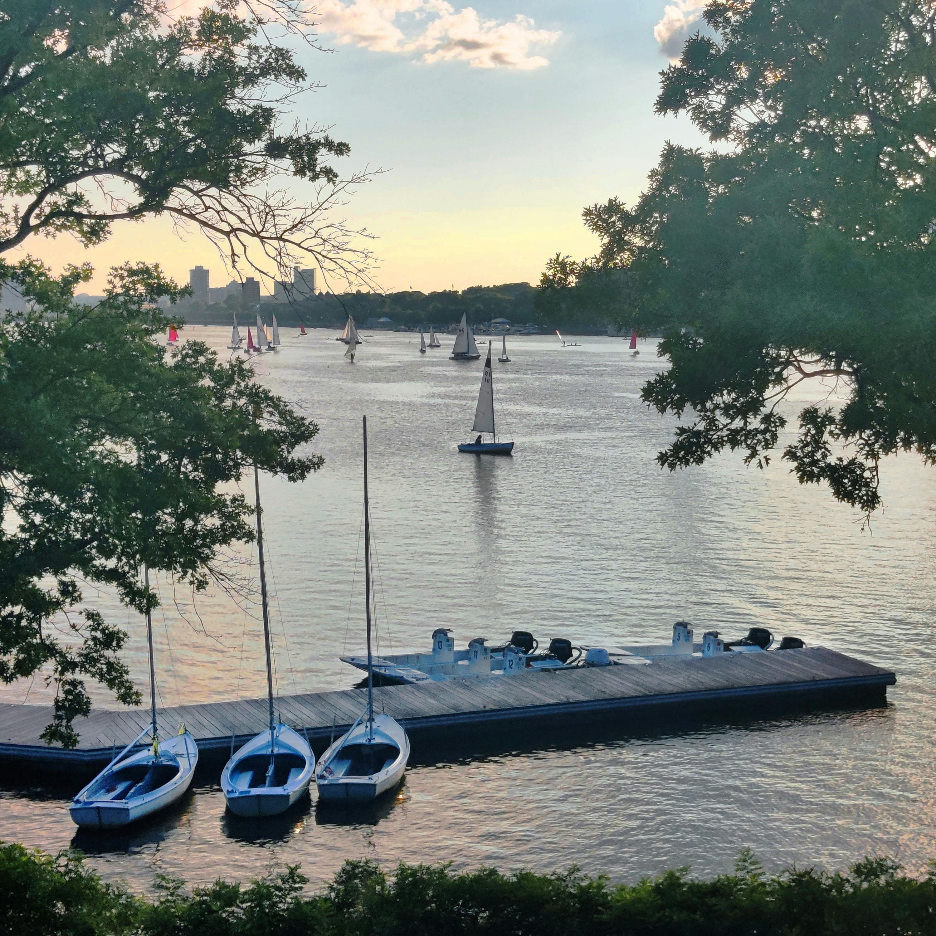 sailboats in the charles river, taken from a pedestrian bridge