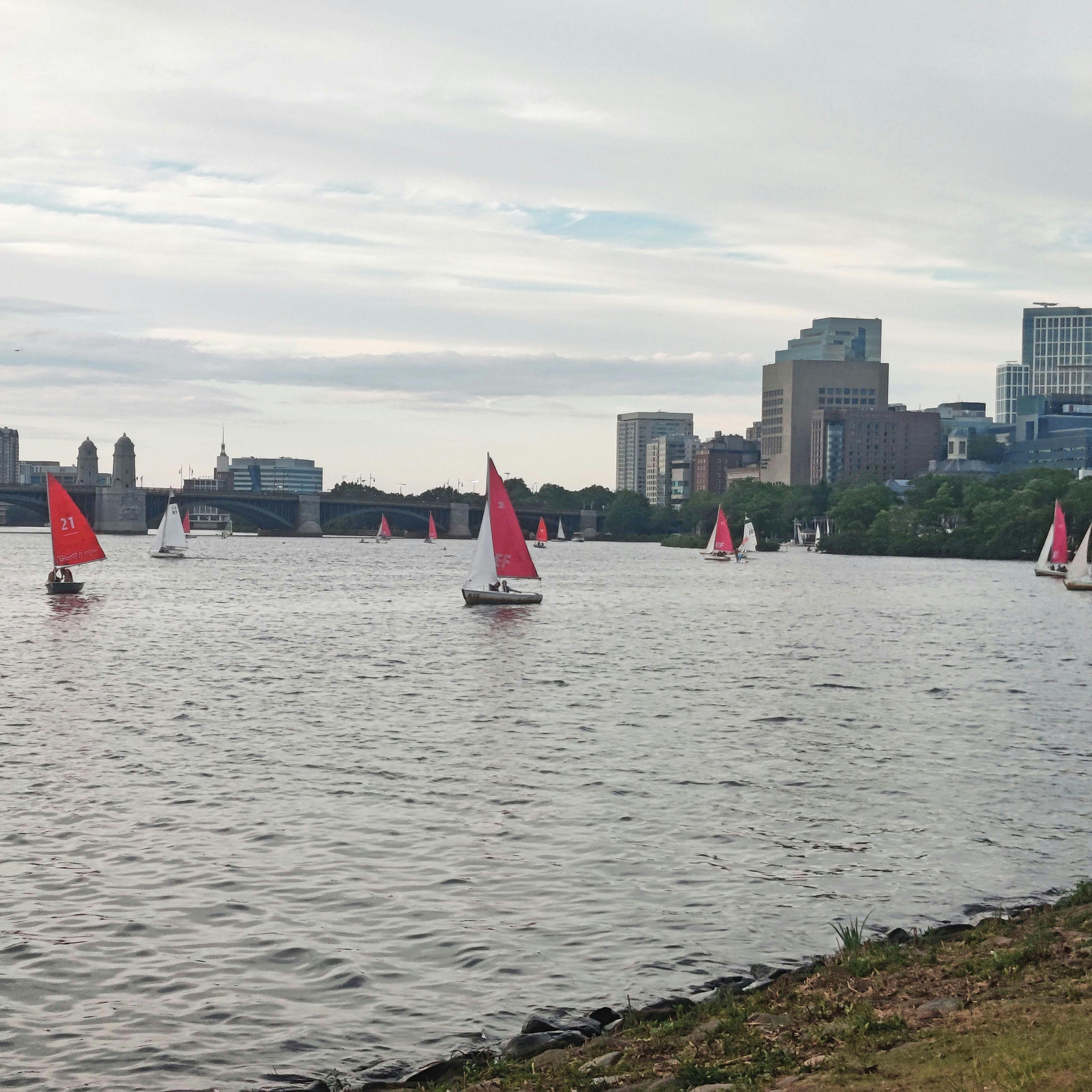 more sailboats in the charles, this time taken from ground level